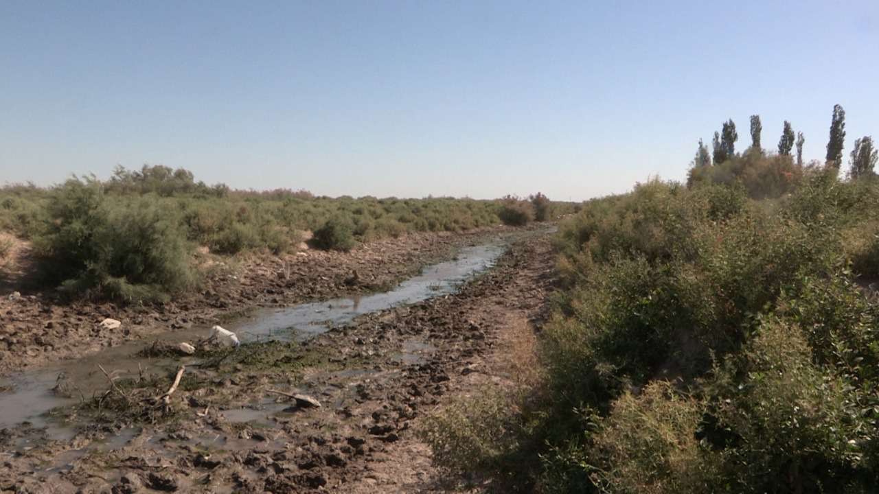 Кто виноват в том, что земледельцы остались без воды