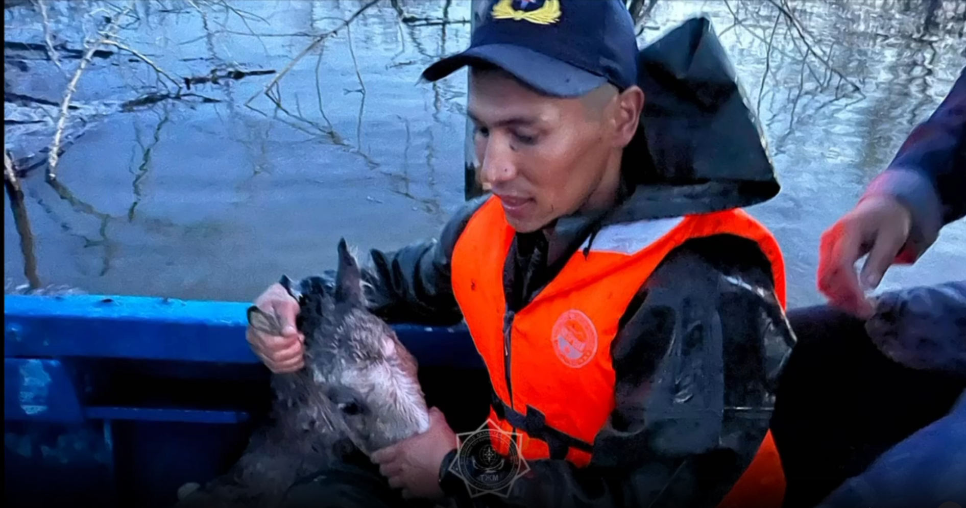 Спасение тонущих лошадей показали на видео в Казахстане