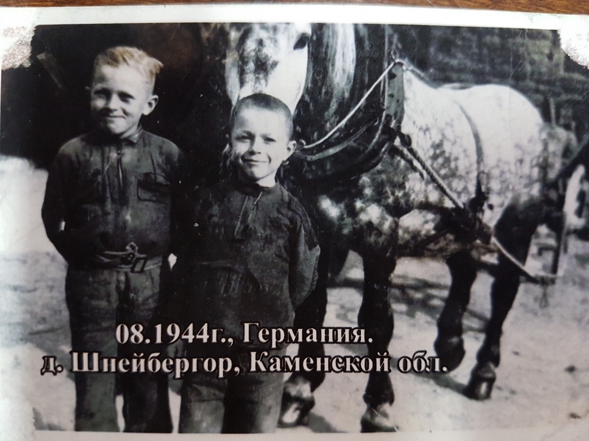 семья нудистов 111 