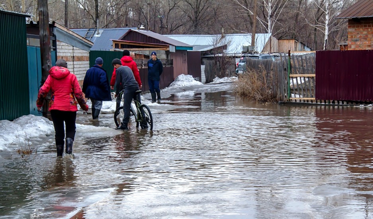 Хляби небесные, потоки земные