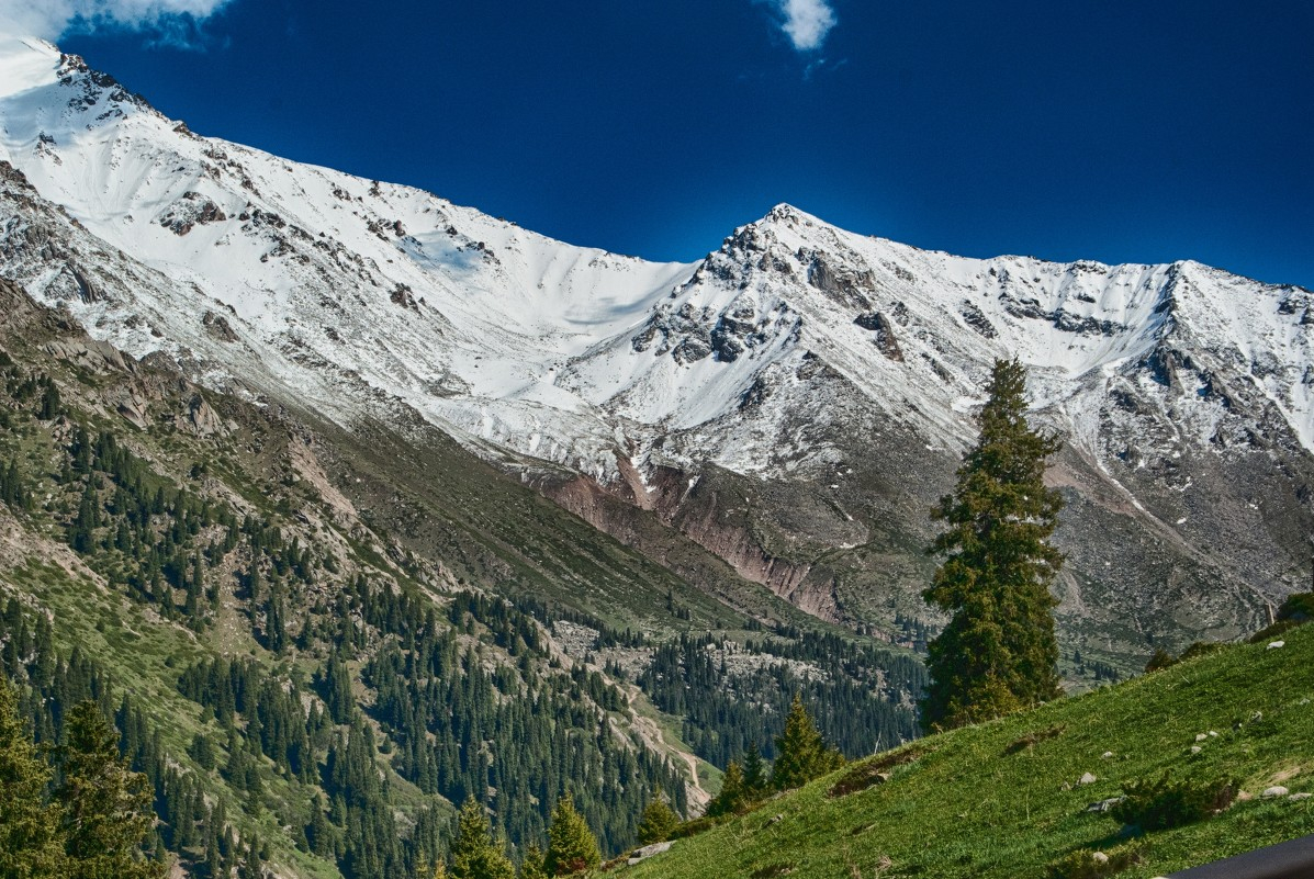 Постеры на стену небо, горы, лес, aртикул: 8038 тропа в ущелье