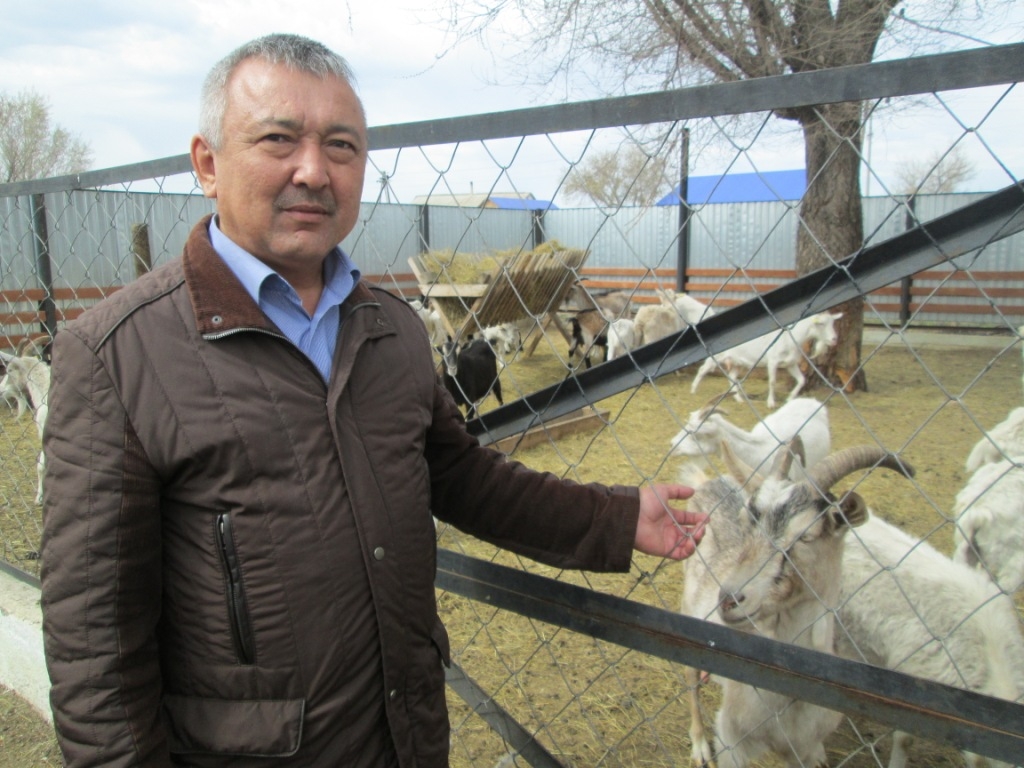 Горожанин переехал в глубинку