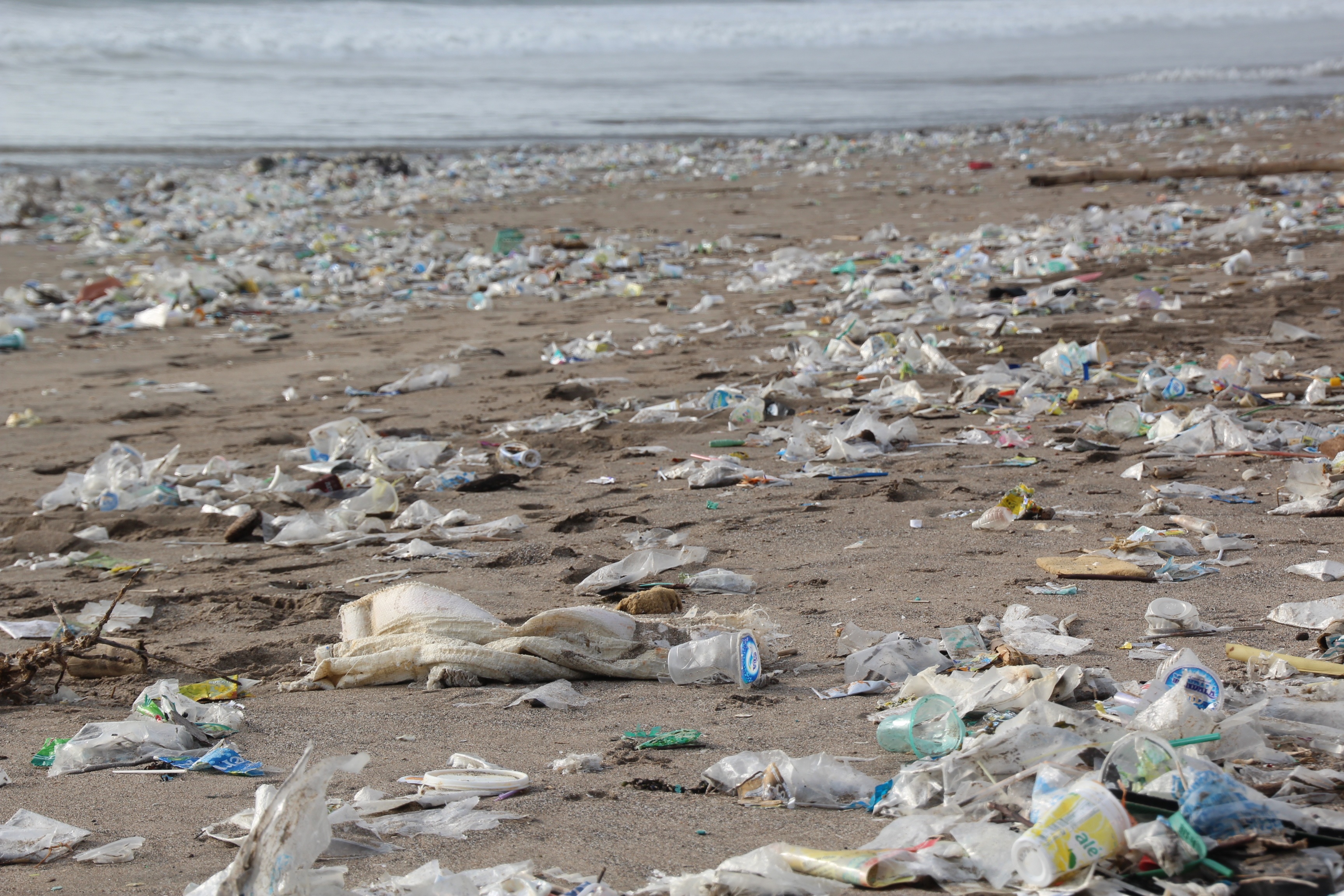 Влияние пластиков на окружающую среду. Загрязнение пластиком. Пластик в окружающей среде. Пластиковое загрязнение окружающей среды. Загрязнение природы пластиком.