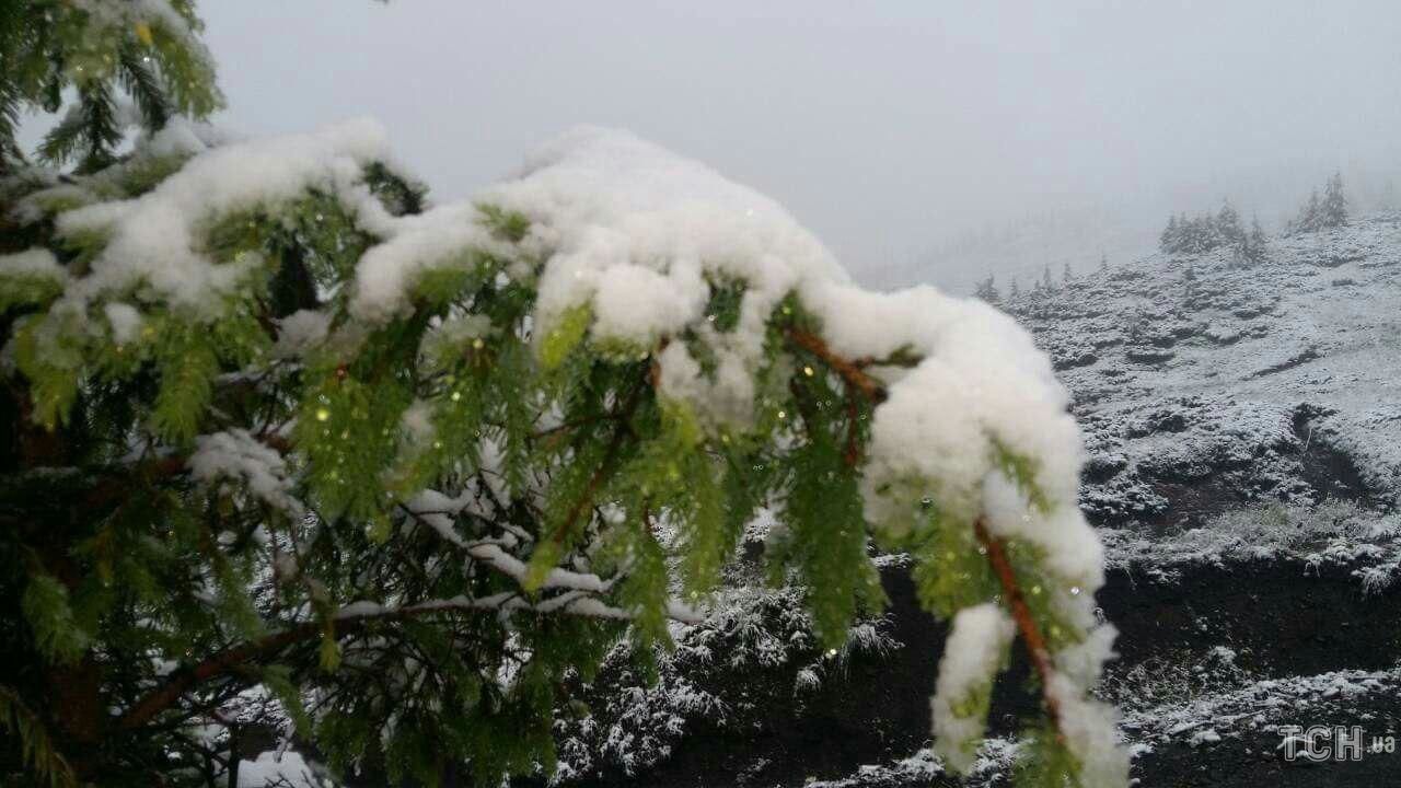 Выпал обильный снег. Снегопады в Карпатах. Снег посреди лета.